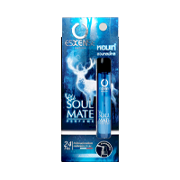 ESXENSE PERFUME SPRAY SOUL MATE FOR MEN NO. 213 10 ML.